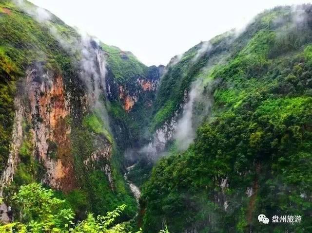 小猫钓鱼开船版最新版下载
